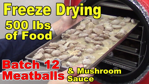Freeze Drying Your First 500 lbs of Food - Batch 12 - Meatballs with Mushroom Sauce