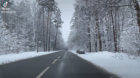 Chasing Snowflakes: Epic Winter Wonderland Drive Through Enchanted Forest! ❄️🌲 #WinterMagic