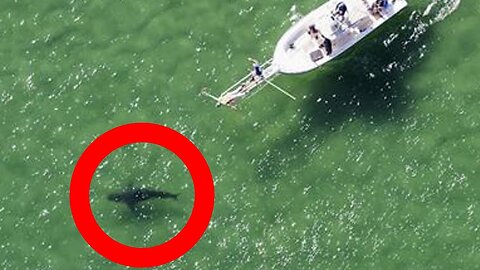 7 Creepiest Things Caught by Drones