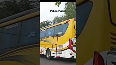 Bus Harapan Putra Jaya