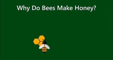 Why Do Bees Make Honey