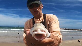 How to catch Whiting from the Beach — SURF FISHING Corpus Christi