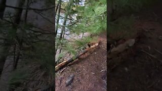 Strathgartney Provincial Park PEI Hiking