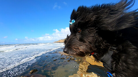 Cabrillo National Monument – Coastal Trail