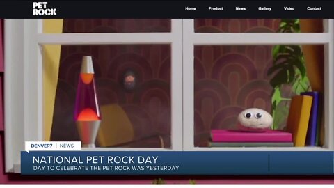 National Pet Rock Day: Remember the pointless 'pet' of your childhood?