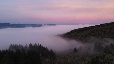 Right on the Left Coast - Life Returns With Spring