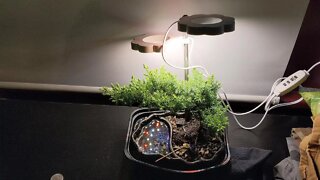 Unboxing: Grow Light with Samsung LEDs Full Spectrum Plant Light for Indoor Plants