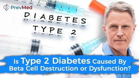 Is Type 2 Diabetes Caused By Beta Cell Destruction or Dysfunction?