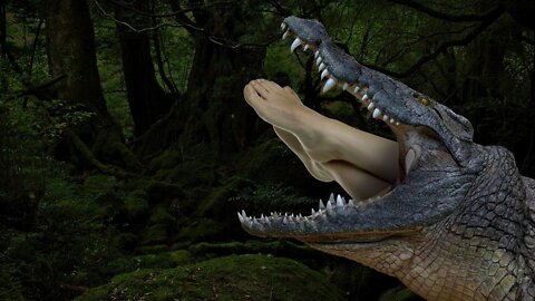 What If You Were Swallowed by a Crocodile?