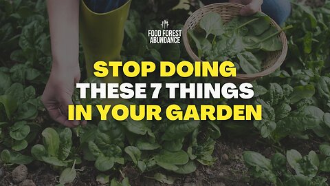 Stop doing these 7 things in your garden