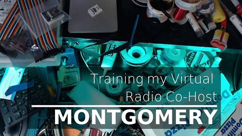 Montgomery- The Virtual Radio Co-Host (Training)
