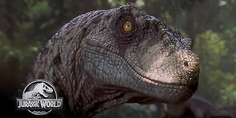Jurassic World | The Best Velociraptor Scenes in 1080p HDR #JurassicWorld #Velociraptor #BestScenes