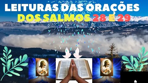 leituras dos salmos 28 e 29 oficial