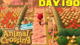 Animal Crossing: New Horizons Day 190 - Nintendo Switch Gameplay 😎Benjamillion