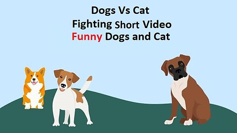 Dogs Vs Cat Funny Fights