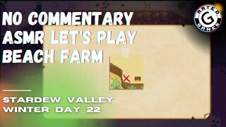 Stardew Valley No Commentary - Family Friendly Lets Play on Nintendo Switch - Winter Day 22