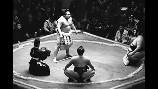 Haru Basho 2023 -Day 7