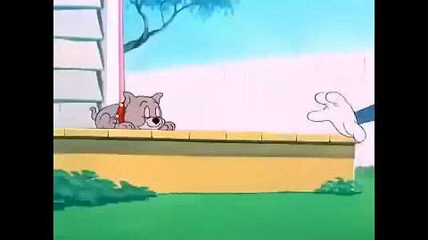 Tom And Jerry Cartoon in rumble YouTube funny comedy movies short clips action Hollywood Bollywood