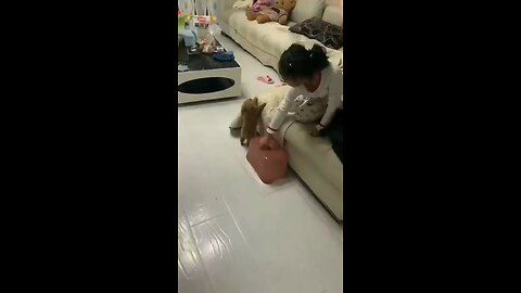 Little girl teaches to cat#short