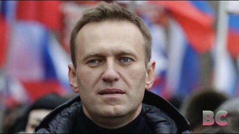 Alexei Navalny ‘collapses and dies’ in jail