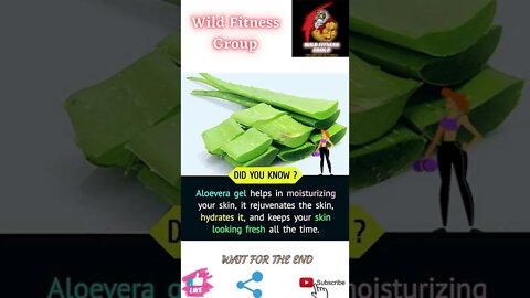 🔥Benefits of Aloe Vera Gel🔥#shorts🔥#wildfitnessgroup🔥27 June 2022🔥