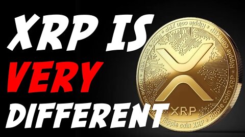 The Riskiest Crypto bet in History? XRP and Ripple vs Bitcoin and Ethereum