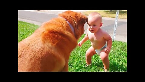 Cute babies playing with dogs compilation 🥰🥰🤣🤣