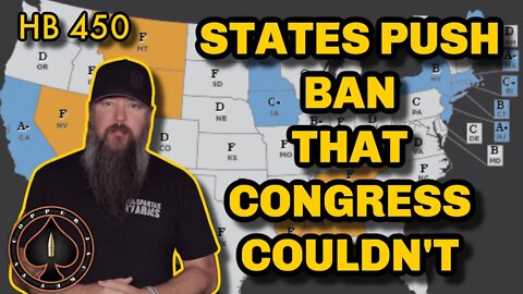 Federal Gun Control In Trouble, States Take Over