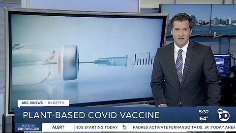 ABC 10 News - In-depth_ plant-based COVID vaccine