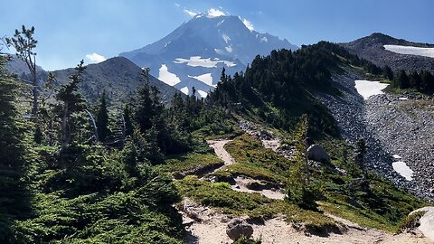 Hiking McNeil Point Trail with GORGEOUS Mount Hood Views! | Glisan Creek | Timberline | Mazama | 4K