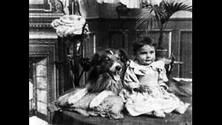 Rescued By Rover (1905 Film) -- Directed By Cecil Hepworth & Lewin Fitzhamon -- Full Movie