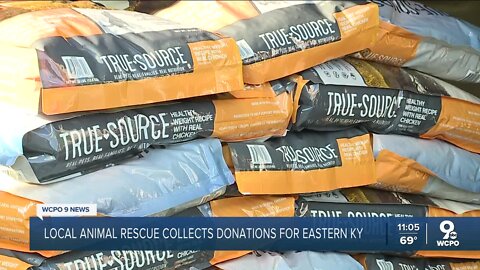 How you can help eastern Kentucky pets in need