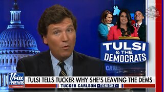 Tucker: Gabbard Was a Rising Star For Democrats Until She Called Out The Establishment