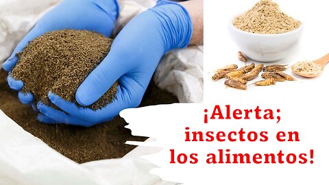 ¡Alerta; insectos en los alimentos!