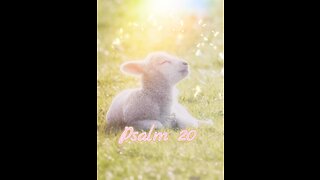 Psalm 20