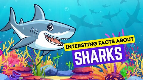 Interesting Facts About Sharks | Sharks Facts for Kids | Sharks for Kids