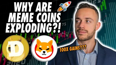 Crypto Bear Market Rally Continues As Meme Coins Explode!