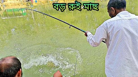 Satisfying rohu fish catching