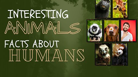 Animals Facts About Humans 😉 Do you know