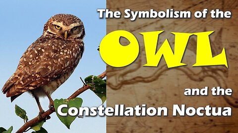 The Symbolism of the Owl and the Constellation Noctua
