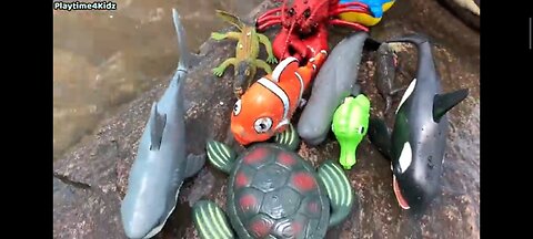 Sea Animal Toys at the Shore