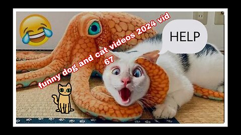 🤣🤣🤣😅 funny animal videos 🤣 😆 😄 🤣🤣🤣