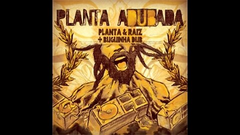 Planta & Raiz - Planta adubada