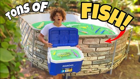 I Bought TONS Of Monster AQUARIUM FISH For the BACKYARD POND!