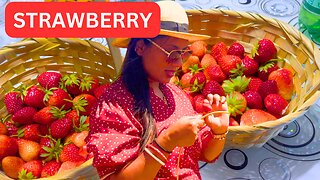 Strawberry Picking with Parents