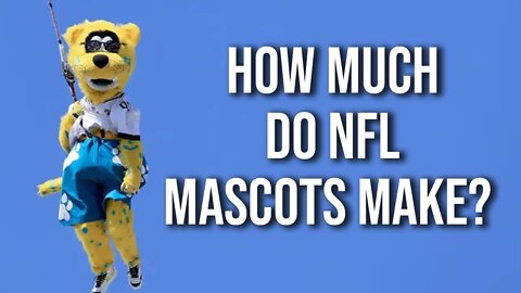 How Much Money Does an NFL Mascot Get Paid?