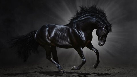 THE BLACK HORSE - ECONOMIC DOWNTURN IN AMERICA