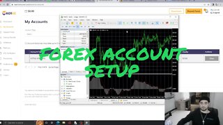 setup up a forex account