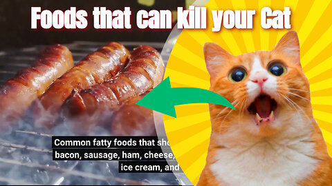 Foods that can kill your Cat