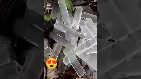 cool ice 😎